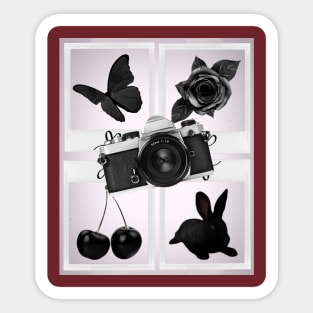 Animals, flowers, fruits and black objects Sticker